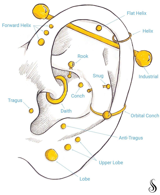 Facial piercing guide