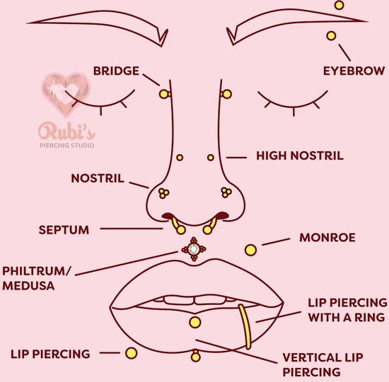 Facial piercing guide